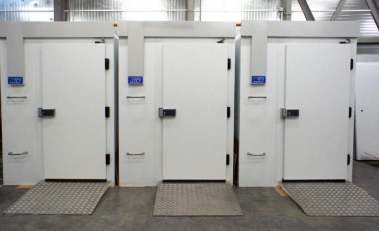 Камера шоковой заморозки как способ сохранить вкус и пользу продуктов